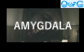 AMYGDALA